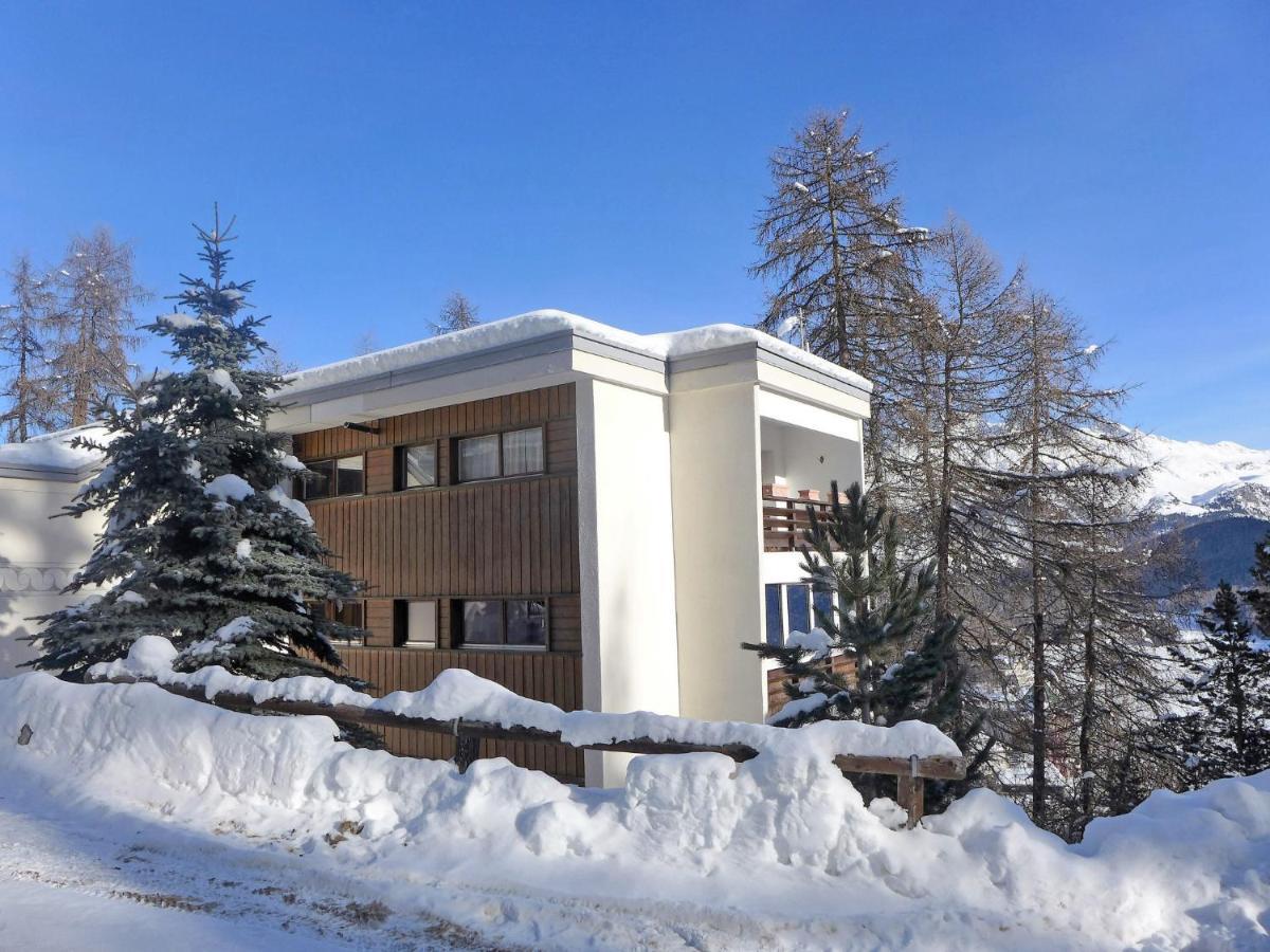 Apartment Chesa Cripels II By Interhome Sankt Moritz Eksteriør bilde